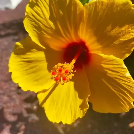 Daita 1 Horská chata *