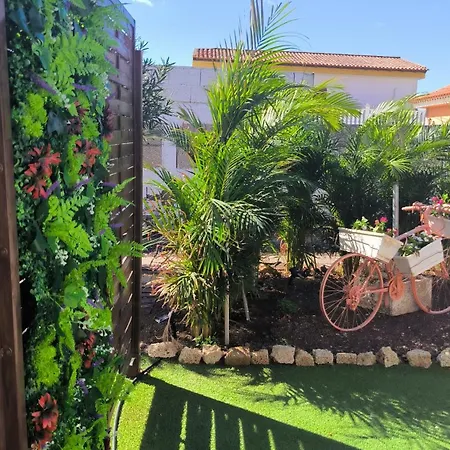 Daita 1 Granadilla De Abona