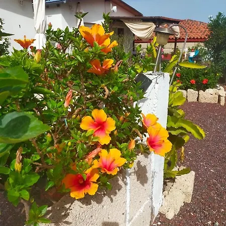 Daita 1 Granadilla De Abona