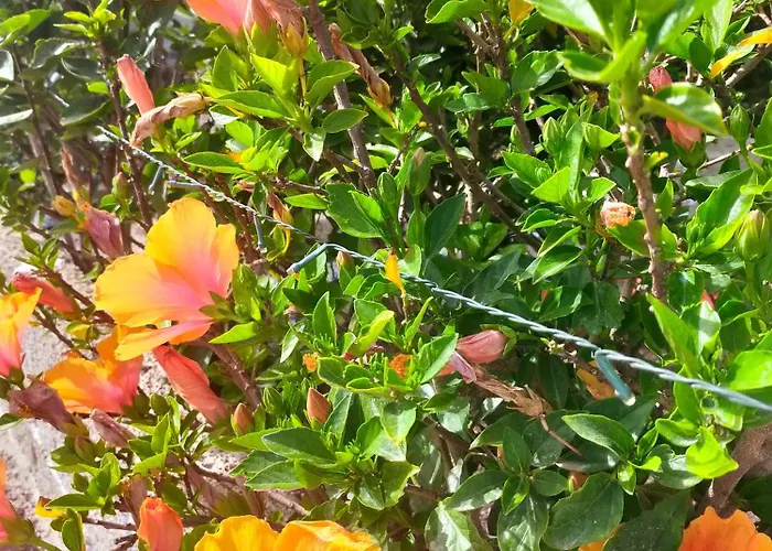 شاليه Daita 1 غراناديا دي أبونا